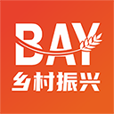 lampions bet baixar app截图